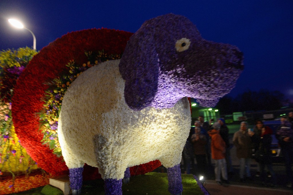 ../Images/Bloemencorso Noordwijkerhout 237.jpg